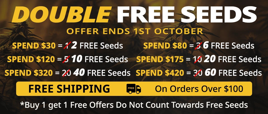 Banner Mobile