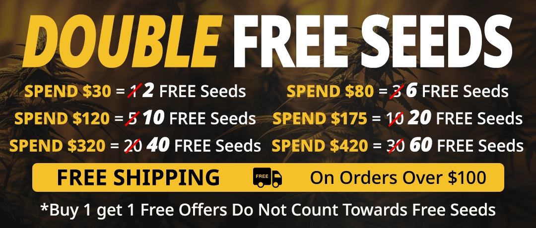 Banner Mobile