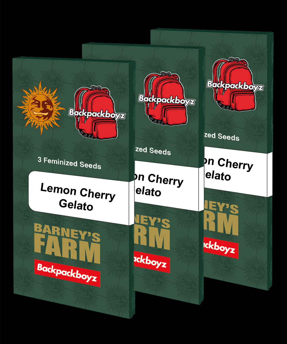 Lemon Cherry Gelato Strain Seeds BARNEYS FARM USA