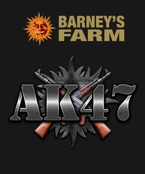 AK-47 Strain