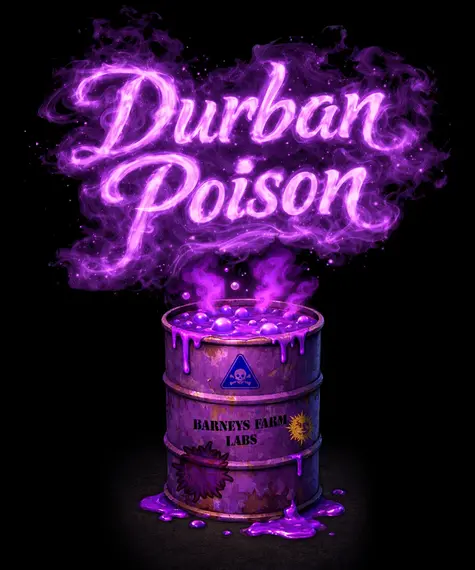 Durban Poison Strain