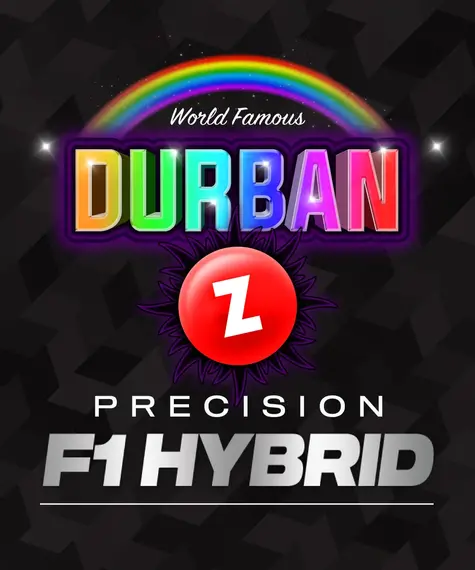 Durban Z Strain