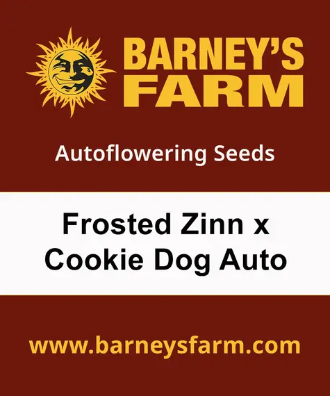 Frosted Zinn x Cookie Dog Auto