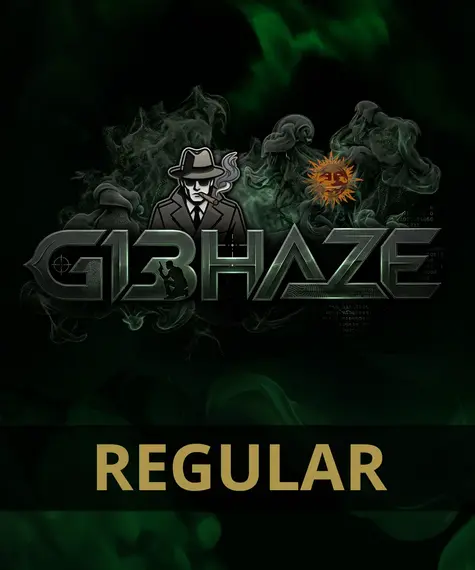 G13 Haze - Regular