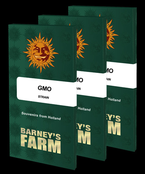 GMO Main Image