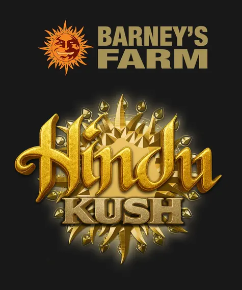Hindu Kush Strain