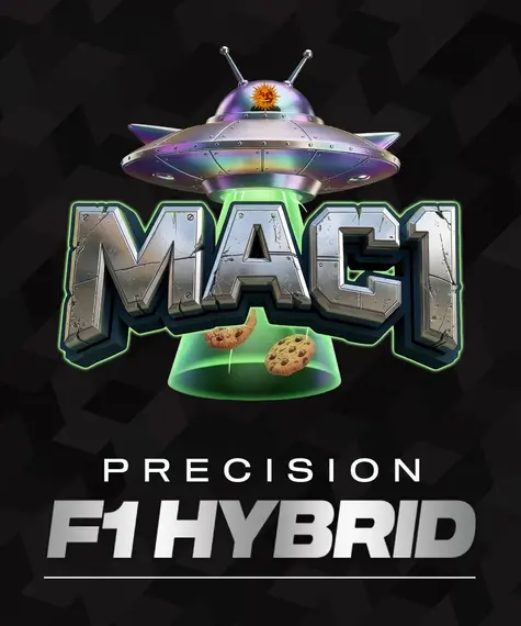 MAC 1 Strain