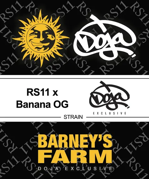 RS11 x Banana OG