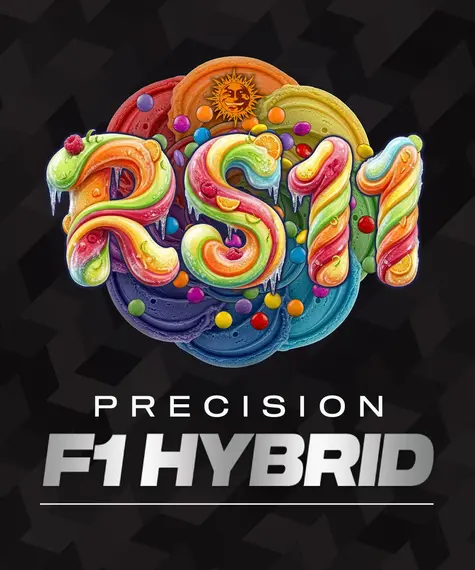 RS11 Strain