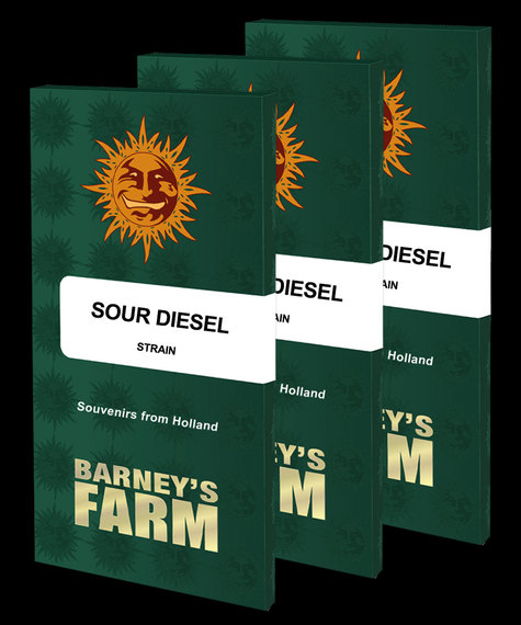 Sour Diesel Main Image