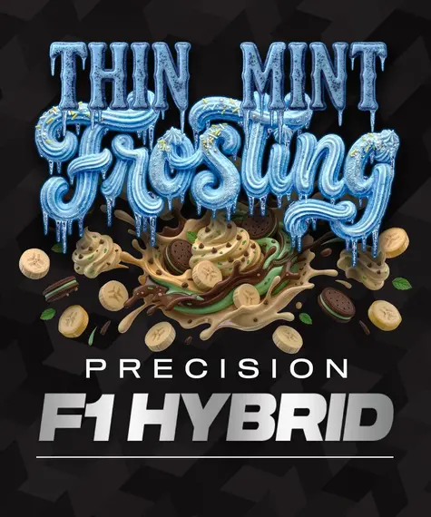 Thin Mint Frosting Strain